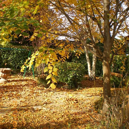 Campagne-2