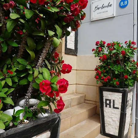 Al Barbinha-3