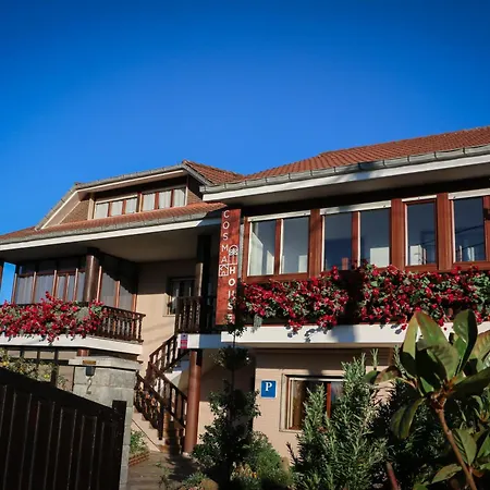 Cosma House-3