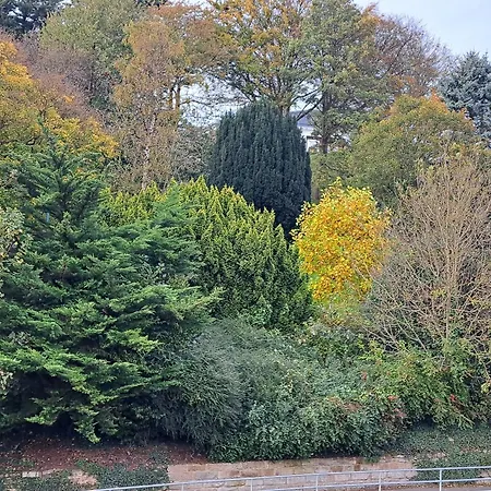 Rylstone Mere-2