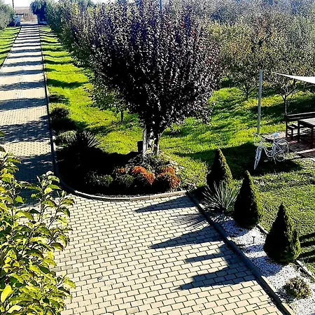 Dor De Casa-2