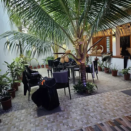 Asseyri Guest House-3
