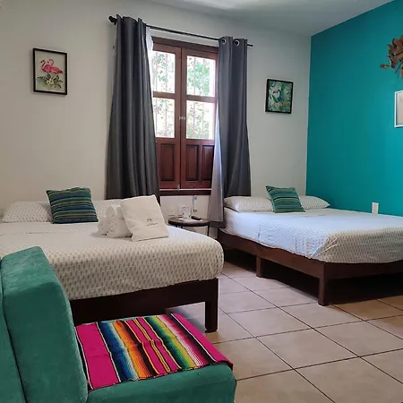 Hostal Casa Morada-3