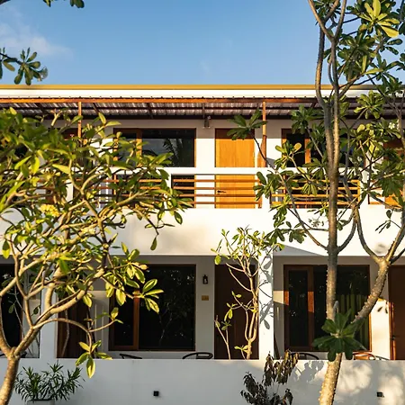 Zen Inn Fulhadhoo-3