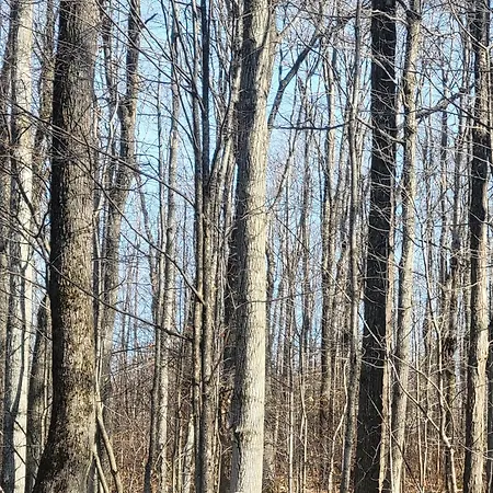 Sweet Woods Hill-2