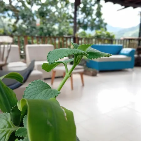 Hostal Los Wichos-2