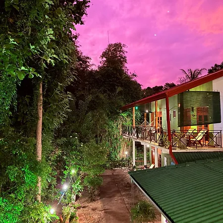 Nature House-2