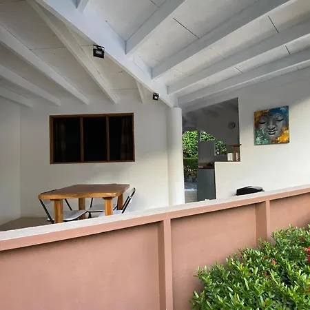 Casa Aba Matapalo-3