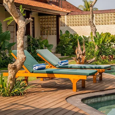 Tut Winten A Tranquil Living Villa Ubud-3