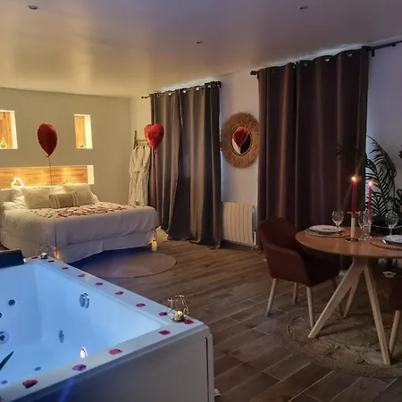 Loft de luxe avec jacuzzi jardin privé près de Paris et 20min Stade de France-2