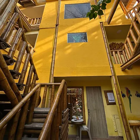 Hostal Bambumar-3