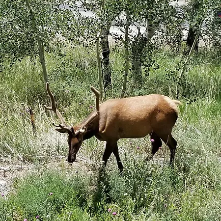 Kokopelli Inn-2