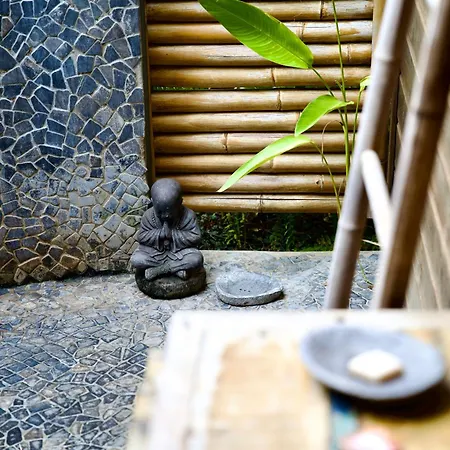 The Bluebamboo-3