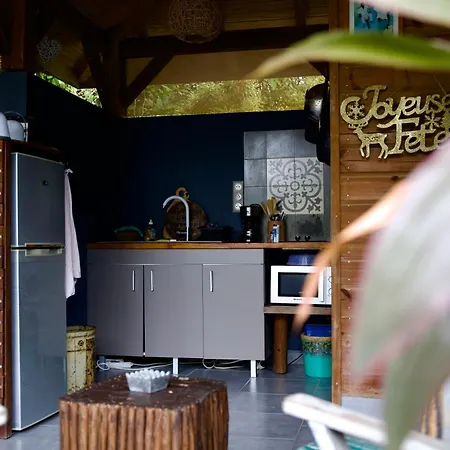 The Bluebamboo-2
