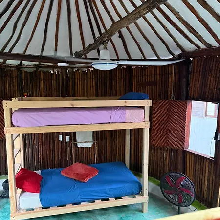 Tree House Tulum-3