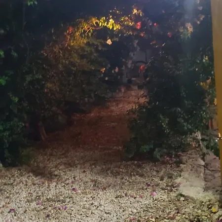 Casa "Los Jarochos" Sencilla-3