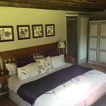 Warrens Guest House-3