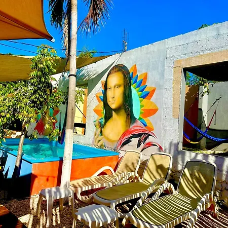 Guacamayas Hostel&Social Laundry-3
