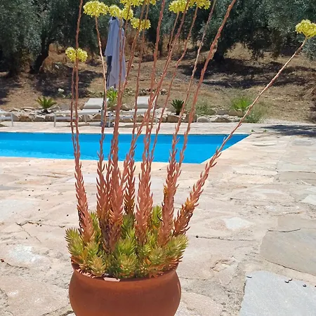 La Pluma-2