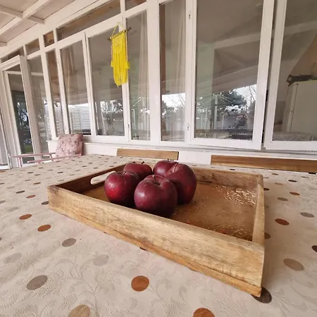 Roni'S Place-2