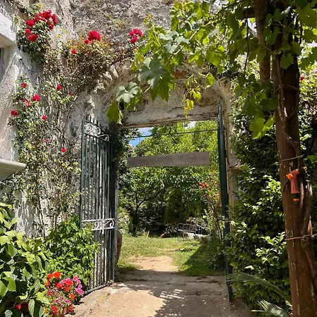 Felicia'S Country House-3
