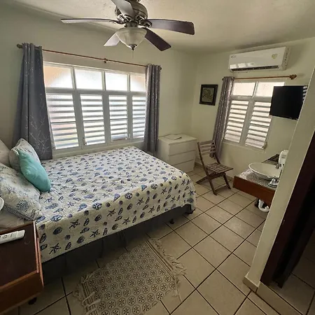 Villa Coral Guesthouse-2
