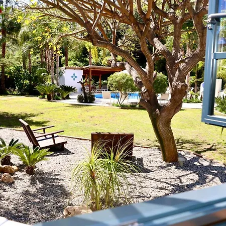 La Pina Verde-2