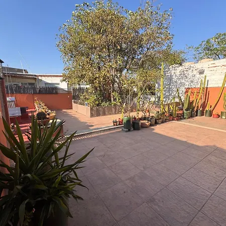 La Casa del Arbol-3