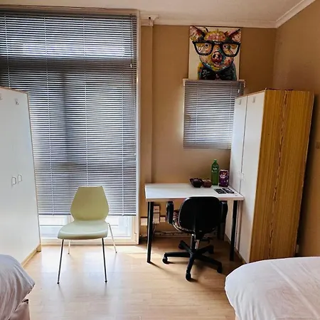 Twin Room In Central London-3