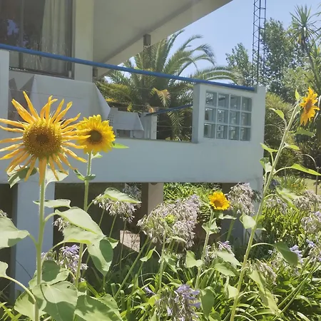 Guest House Peter Flanders-3
