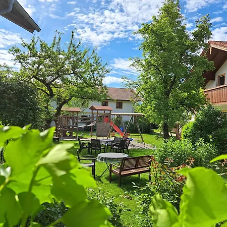 Gäste- und Apartmenthaus Wiesholler-2