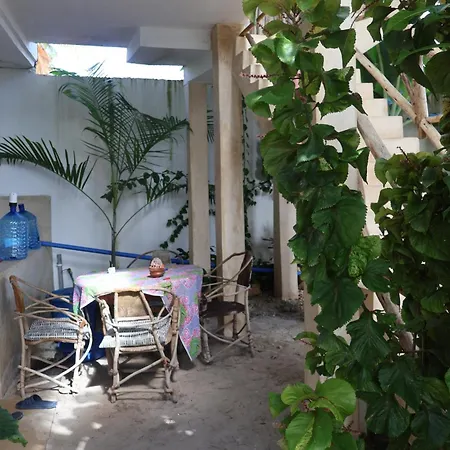 Gecko House-3