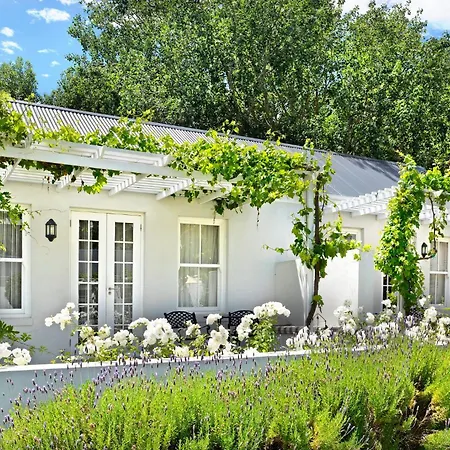 Lavender Farm Boutique Guest House-2