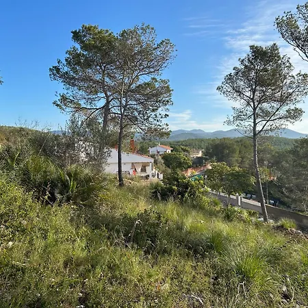 Son Roca Ribes Guest House-2