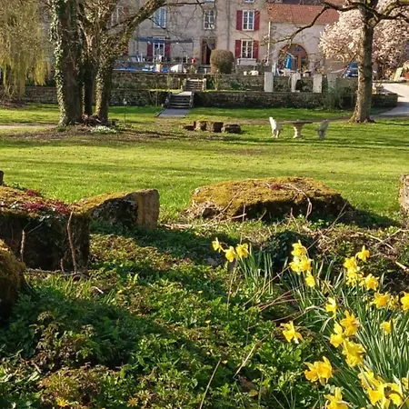 Le Domaine D'Elise Chambres Et Table D'Hotes - Vosges-3