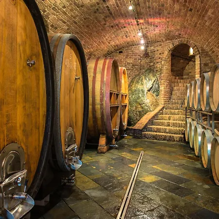 Weingut Skoff Original-3