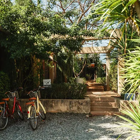 Bougain Villas - Adults Only-2