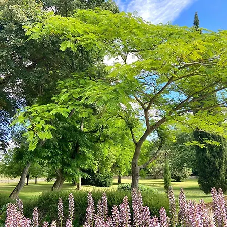 Le Domaine De La Gravette-2