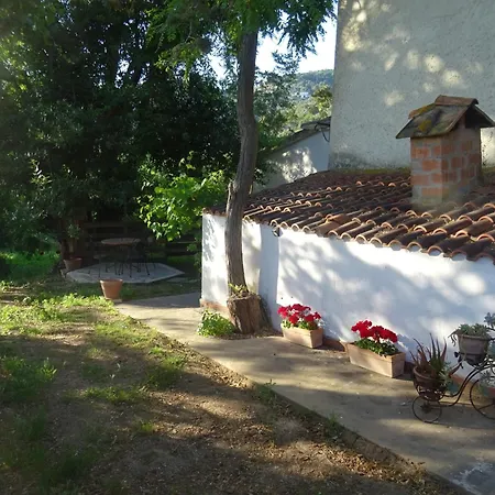 Camera D'Ambra-2