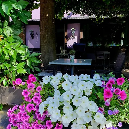Gasthaus Traube Niederfell-3