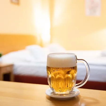 Hotel U Salzmannů-2