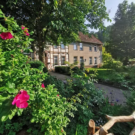 Pension im Tal der Stille-2