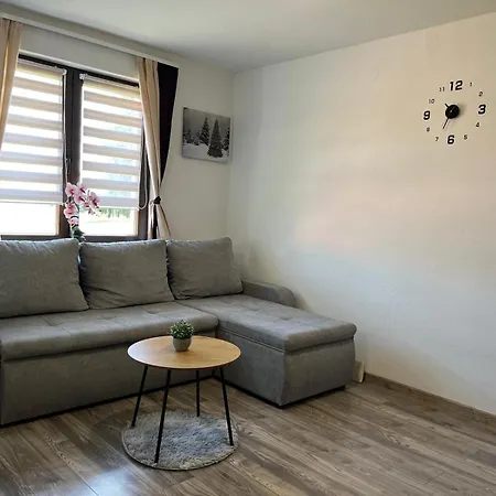 Studio Apartmani Patricia-2