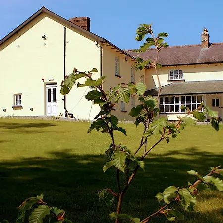 The Monkey Puzzle-2