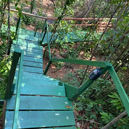 Tapiri Anavilhanas Lodge-2