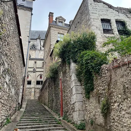 Maison des Acrobates-3