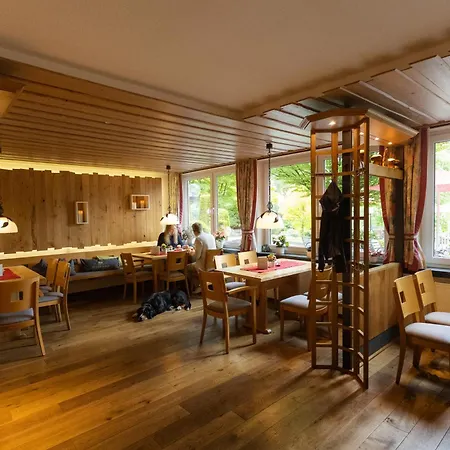 Hotel Kleins Wiese-3