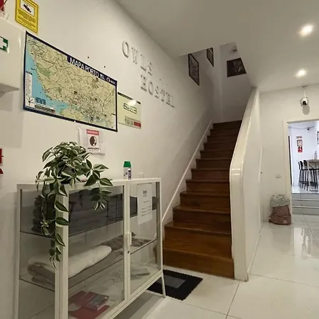 Owls Hostel Ribeiro-3
