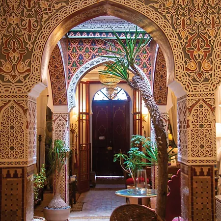 Riad Al-Qurtubi-3