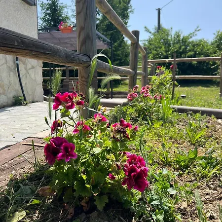 Il Cottage-3